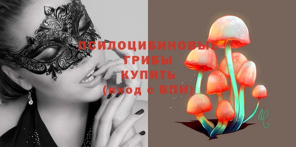 спиды Алексин