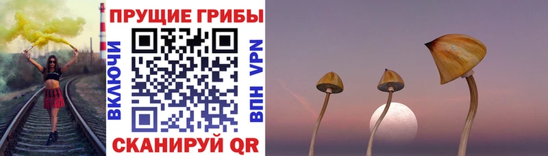 купить  цена  это наркотические препараты  Галлюциногенные грибы мухоморы  Южно-Сахалинск 