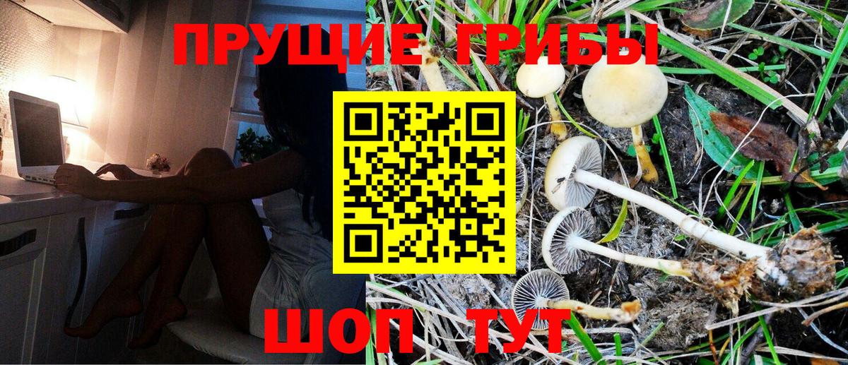 Южно-Сахалинск  Галлюциногенные грибы MAGIC MUSHROOMS  Вход с VPN 